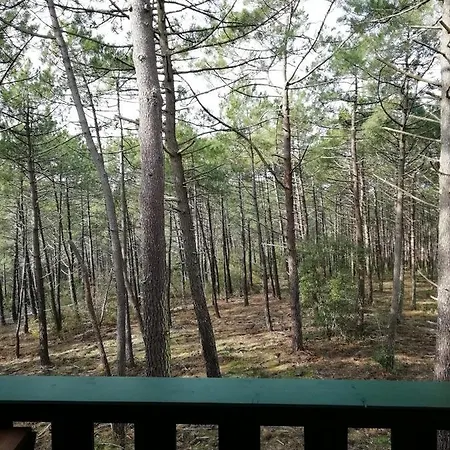 Les Grands Pins Carcans