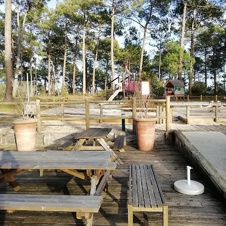 Appartement Les Grands Pins Carcans