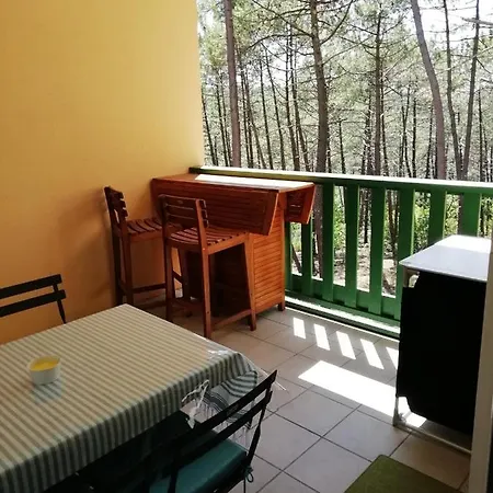 Les Grands Pins Appartement