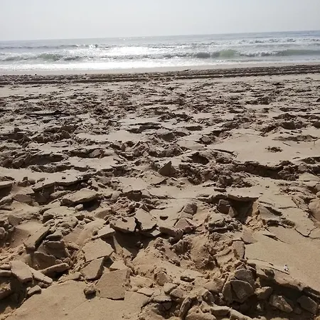 Les Grands Pins Carcans