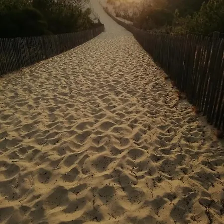 Les Grands Pins Appartement Carcans