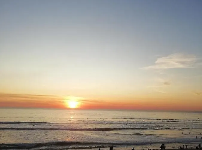 Les Grands Pins * Carcans