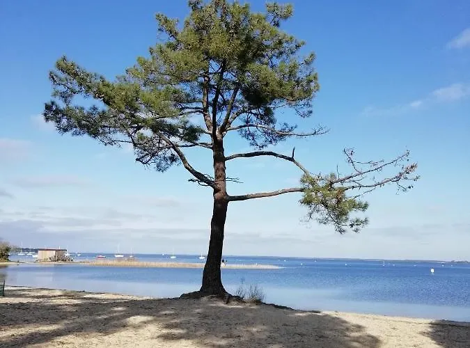 Les Grands Pins Apartamento *