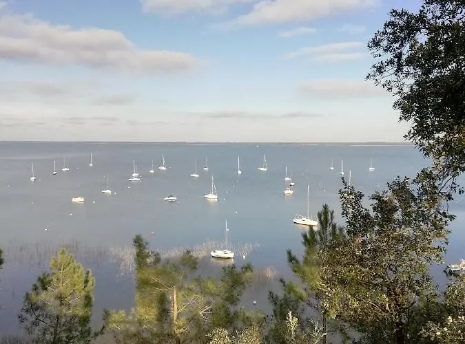 Apartamento Les Grands Pins