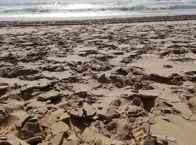 Les Grands Pins Carcans