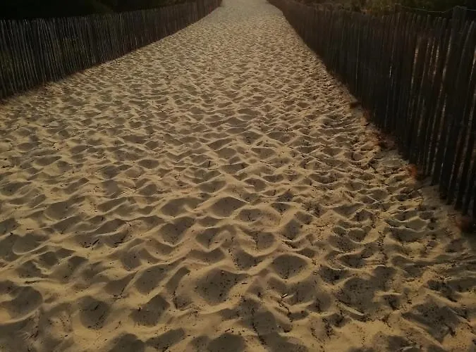 Les Grands Pins Apartamento Carcans